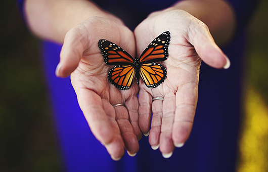 Laura Strom - Trauma Specialist - butterlfy in hand